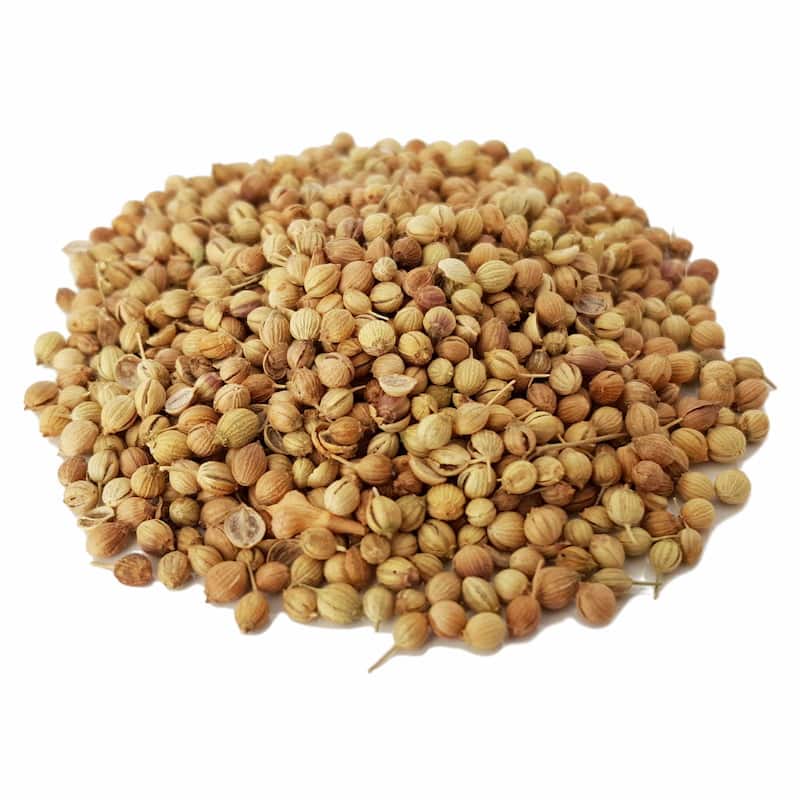 تخم گشنیز با کیفیت بالا جهت تهیه ادویه جات معطر